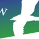 Bird Feed View logo design